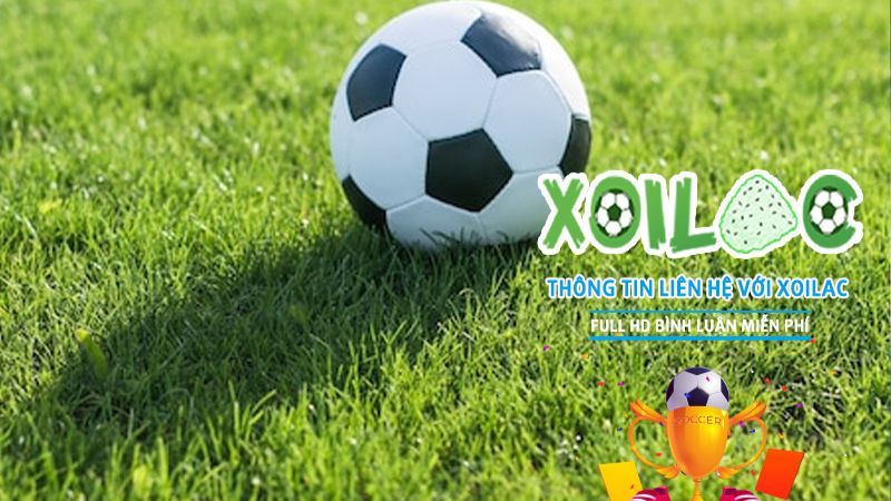 Những câu hỏi thường gặp - FAQs